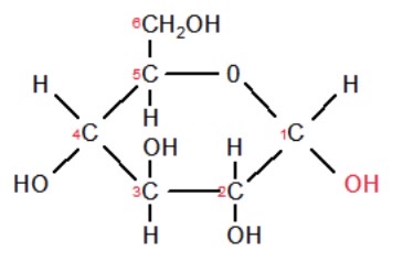 <ul><li><p>the alcohol on C#1 will be DOWN</p></li></ul>