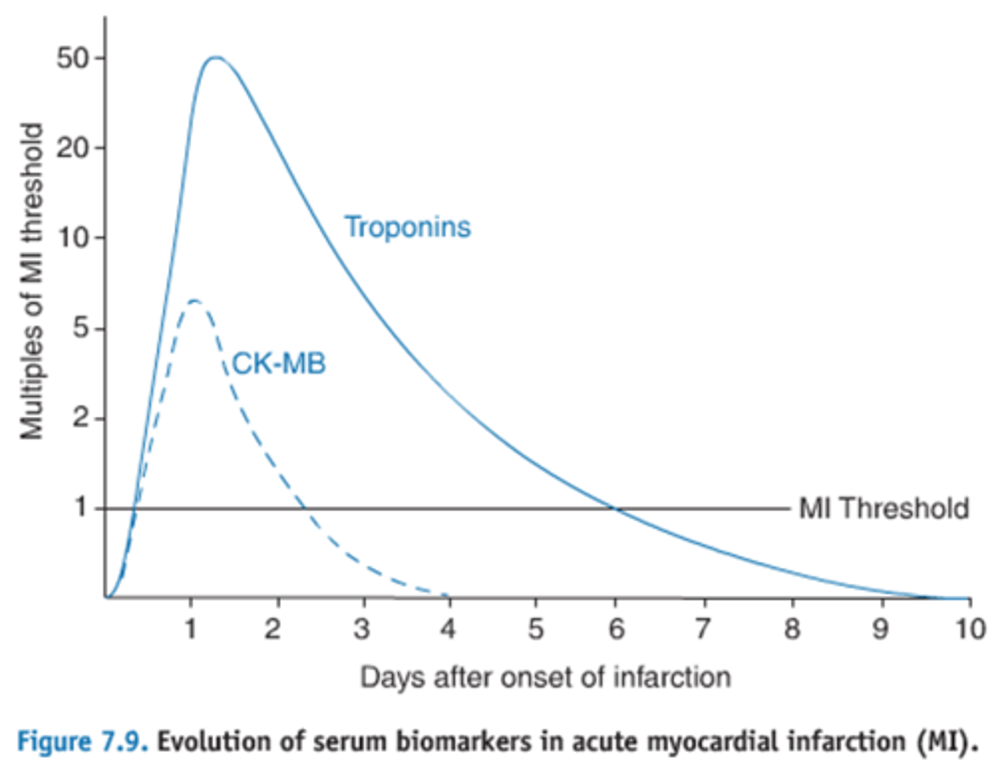 <p>found in myocardium, gold standard, Protein released into the bloodstream when the heart muscle is damaged, Trustworthy for detecting an MI and can stay elevated for 2 weeks, can be detected within hours</p>