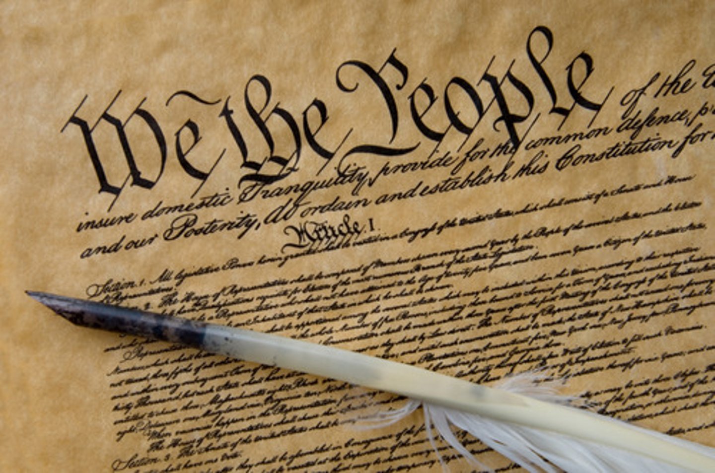 <p>The Constitution, specifically the Bill of Rights.</p>