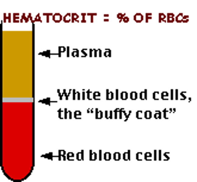<p>(also, packed cell volume) the volume percentage of erythrocytes in a centrifuged blood</p>