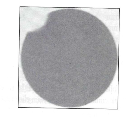 <p>Exam 1, Question 90</p><p>To repair the non-uniformity demonstrated on the intrinsic uniformity image shown above, the service engineer will need to:</p><p>a) Replace the crystal.</p><p>b) Redo the reference map calibration.</p><p>c) Repair the collimator.</p><p>d) Replace the photomultiplier tube.</p><p>e) Replace the <em>x, y</em> localization board.</p>