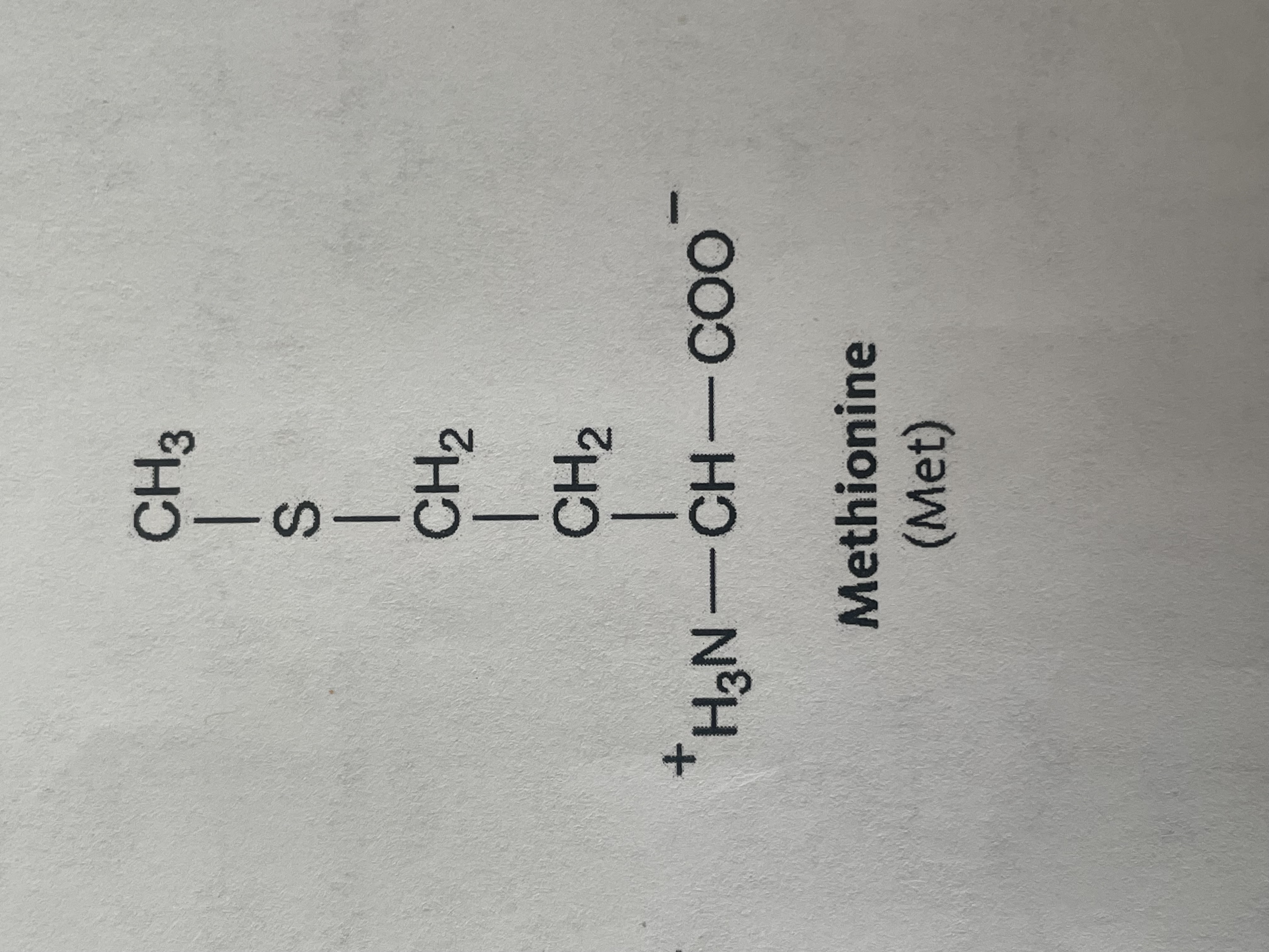 <p>non-polar (hydrophobic)</p>