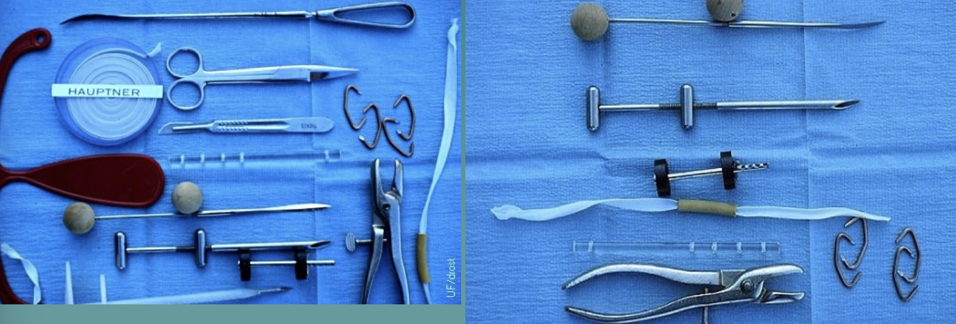 <p>1. vulvar suture patterns (temporary)</p><p>2. hog ring bootlace</p><p>3. buhner technique (has to be removed before calving)</p><p>4. modified minchev technique (does not have to be removed before calving)</p><p>5. cervicopexy</p>