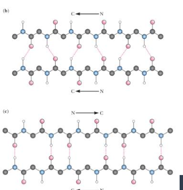 <p>top vs bottom</p>