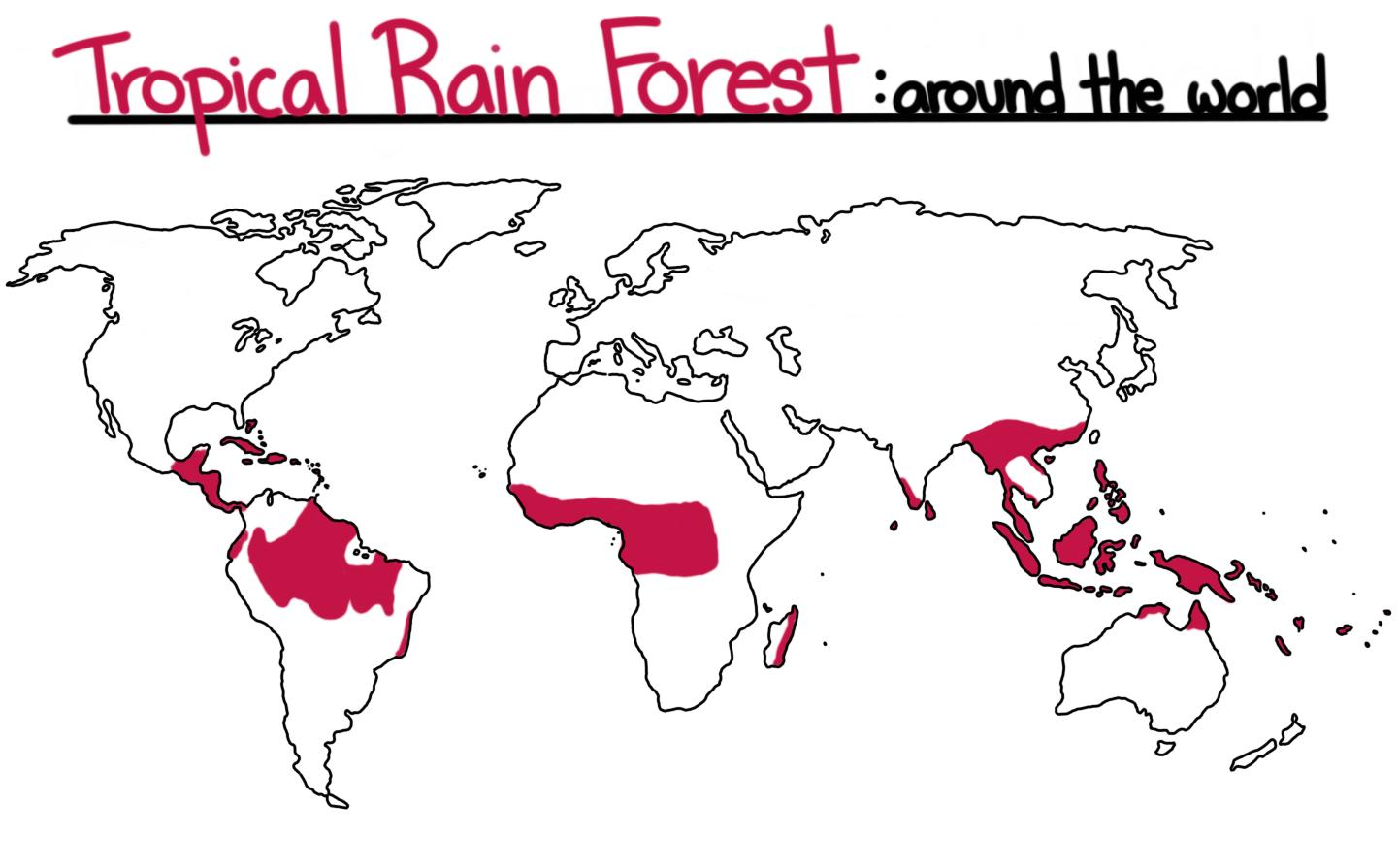 <ul><li><p>Mostly located between 10oN and 10oS of the Equator</p></li></ul><ul><li><p>Latin America (56%) e.g Amazon and Orinco Basin</p></li><li><p>Western Africa ( 18%) e.g Congo Basin</p></li><li><p>S.E Asias islands and mainland (25%)</p></li></ul><p></p>