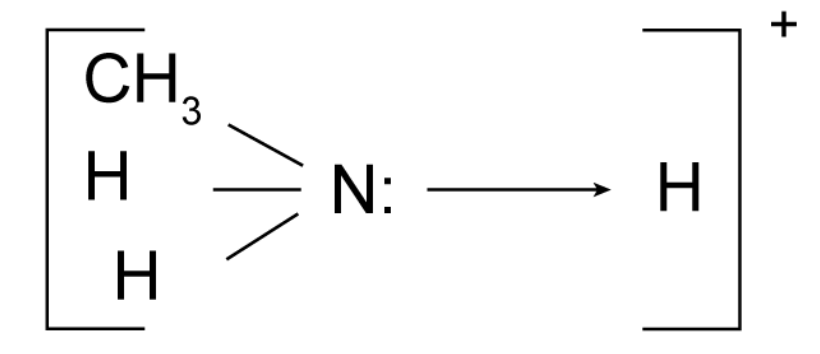 <p>The nitrogen atom has a lone pair of electrons which allows amines to accept protons by a <mark data-color="yellow" style="background-color: yellow; color: inherit">co-ordinate bond.</mark></p>