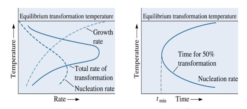 <p>Time required for transformation is inversely related to rate of transformation. This produces a _______ in a TTT diagram</p>