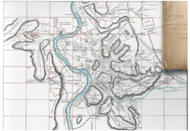 term image