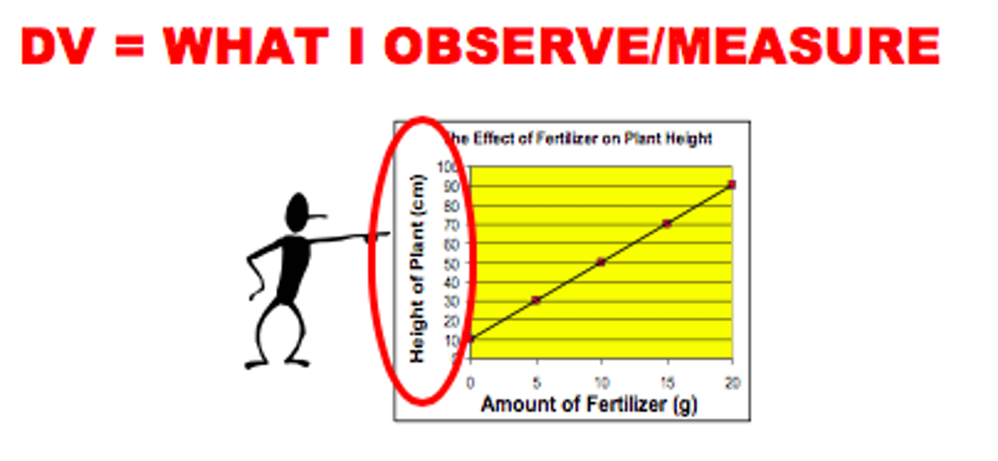 <p>The variable that responds to manipulations of the independent variable. It is the data that is measure or recorded. Can have more than 1 DV. Graphed on y-axis.</p>