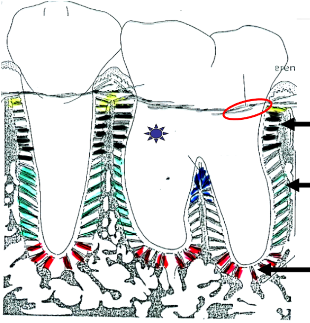 <p>What is this?</p>