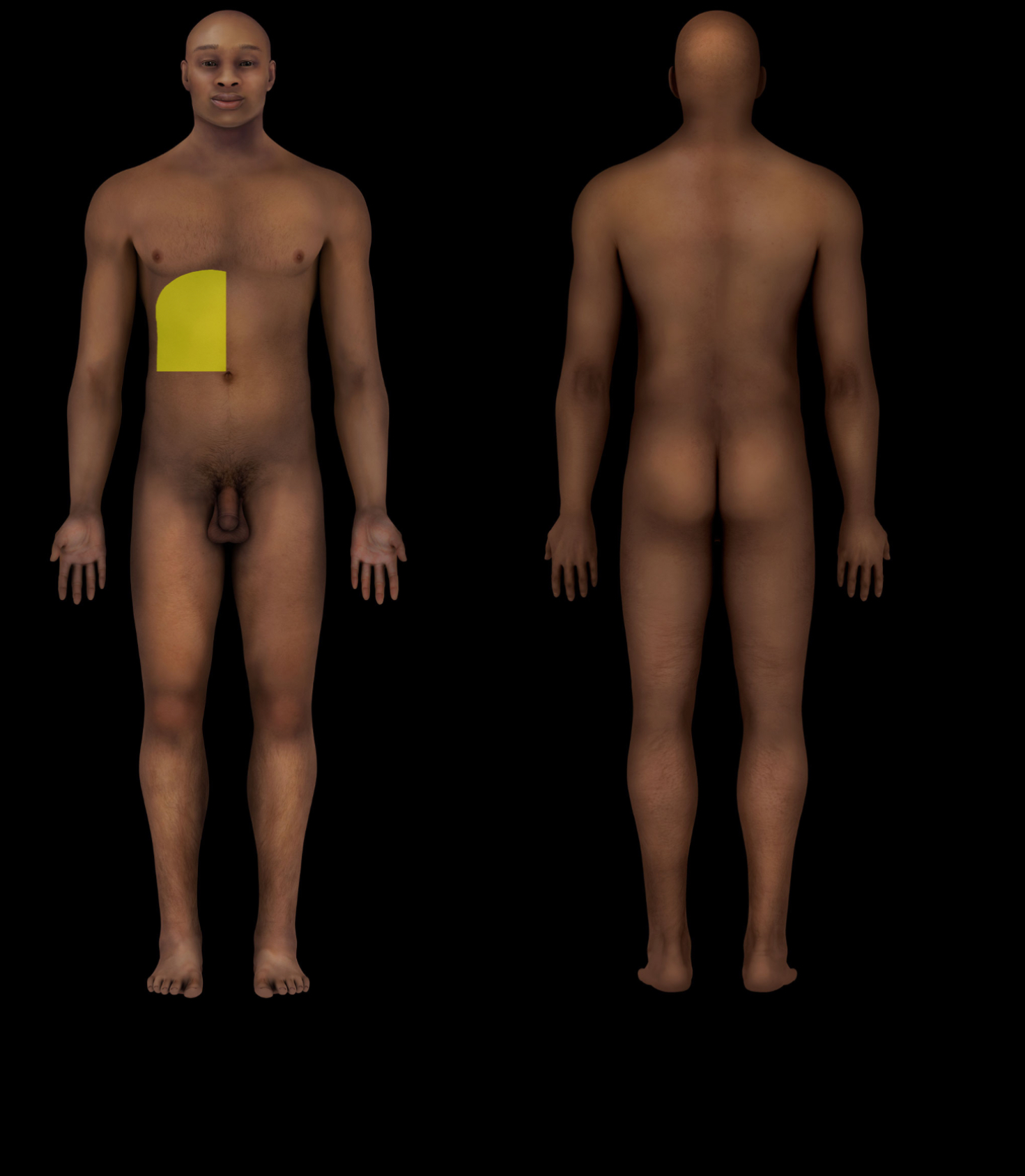 term image