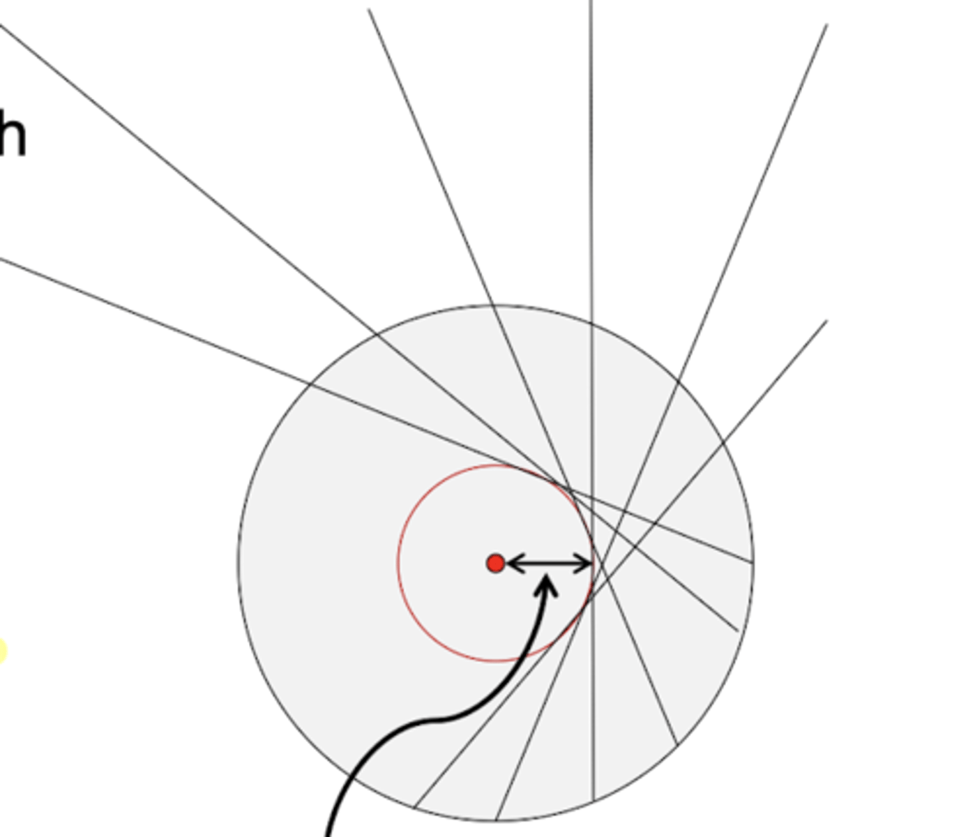 <p>a caustic curve</p>