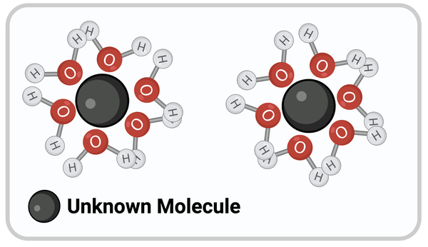 <p>Which chemical property most likely describes the unknown molecule?<br>&nbsp;</p><ul><li><p><span>a. negatively charged</span></p><p></p></li><li><p><span>b. positively charged</span></p><p></p></li><li><p><span>c. without a charge</span></p><p></p></li><li><p><span>d. hydrophobic</span></p><p></p></li><li><p><span>e. nonpolar</span></p></li></ul><p></p>