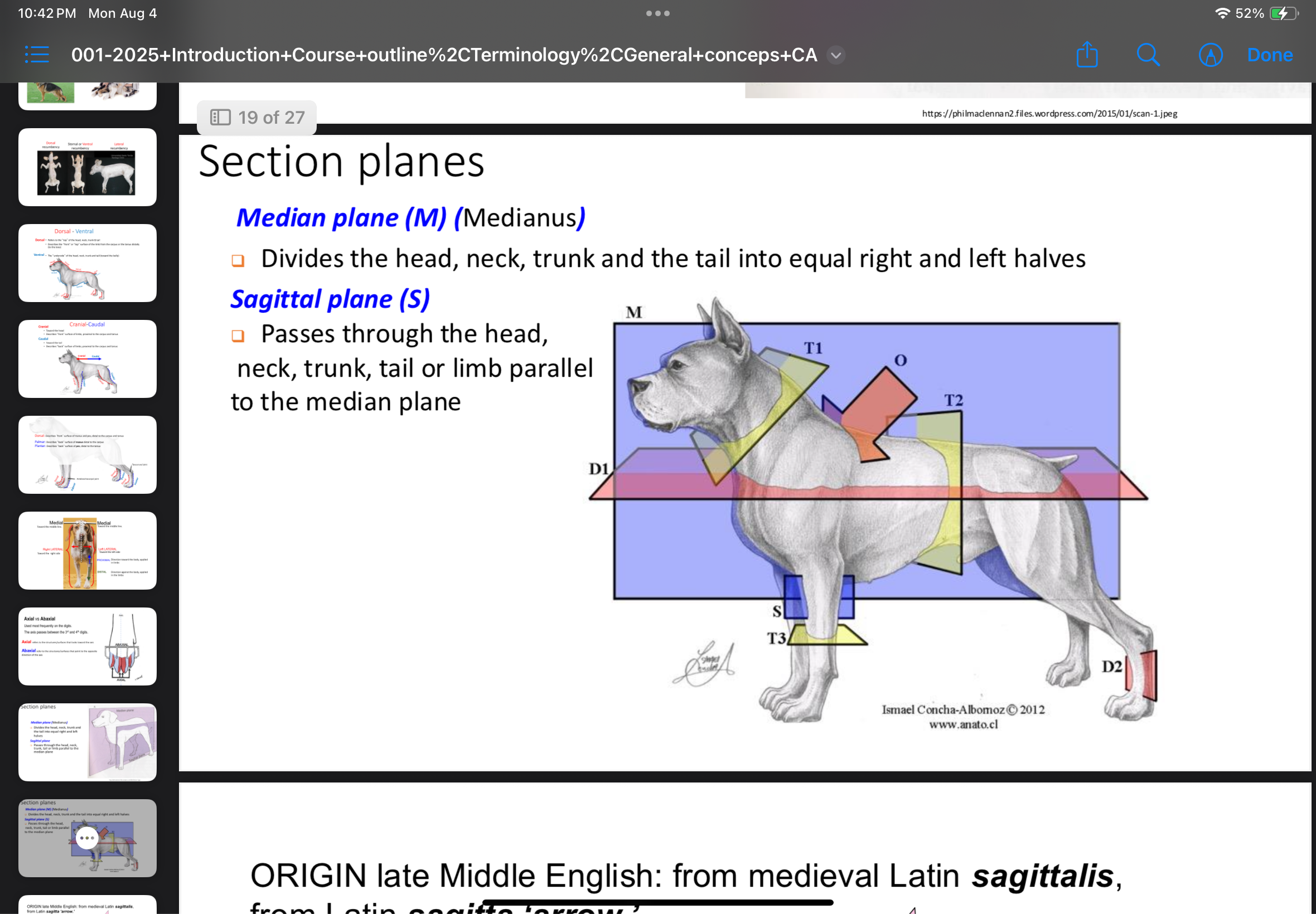 <p>Plane that transects a body part perpendicular to its own long axis, producing cranial/caudal or proximal/distal sections.</p>