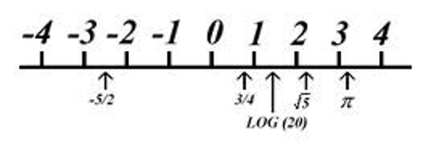 <p>the set of rational and irrational numbers</p>