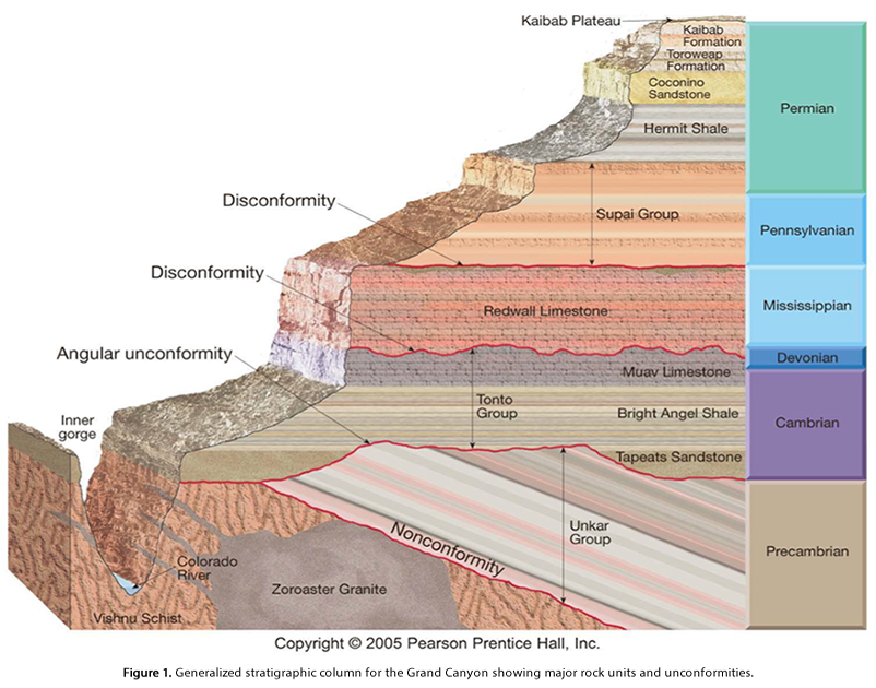 <p>What did Hutton and Lyell contribute to Darwin’s thinking</p>