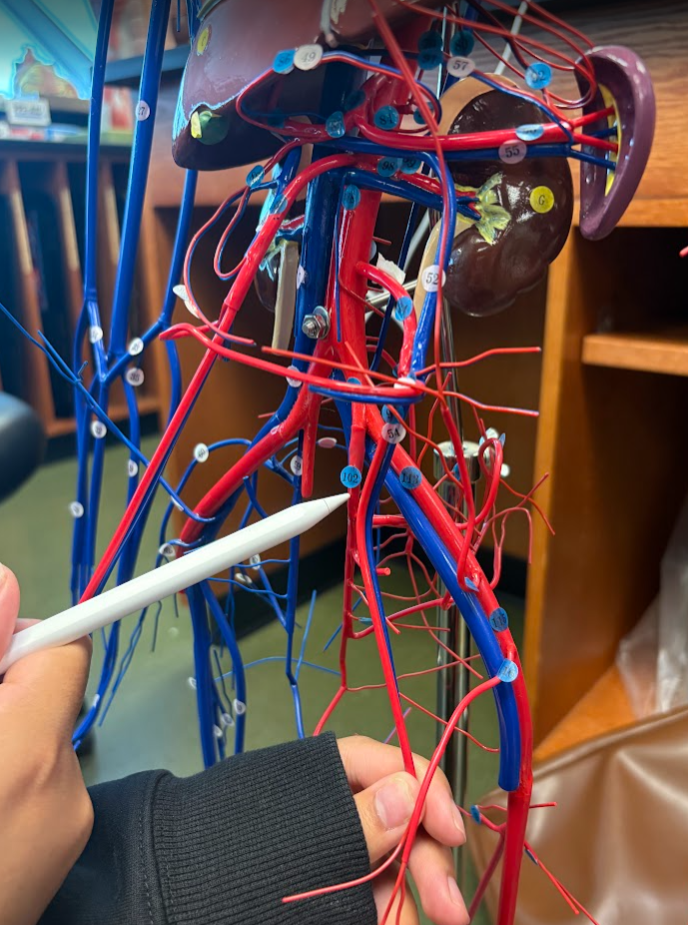<p>What is this?</p>