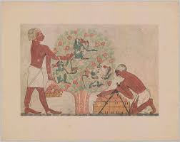 <p>Name?</p><p>Date?</p><p>Period? </p><p>Facts?</p>