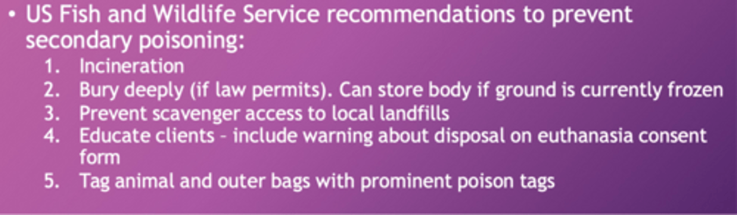 <p>importance of body disposal following euthanasia</p>