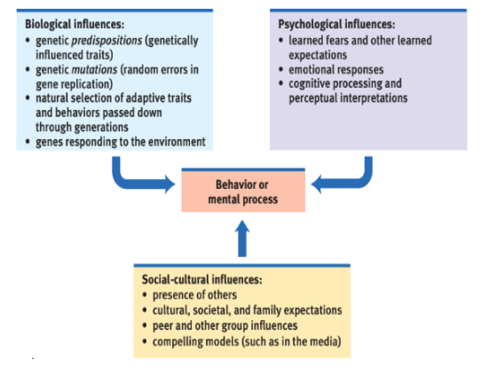 <p>An integrated approach that incorporates biological, psychological, and social-cultural levels of analysis</p><p>Each biological system is part of a subsystem that makes up the whole person who in turn lives within family, community, and culture</p>