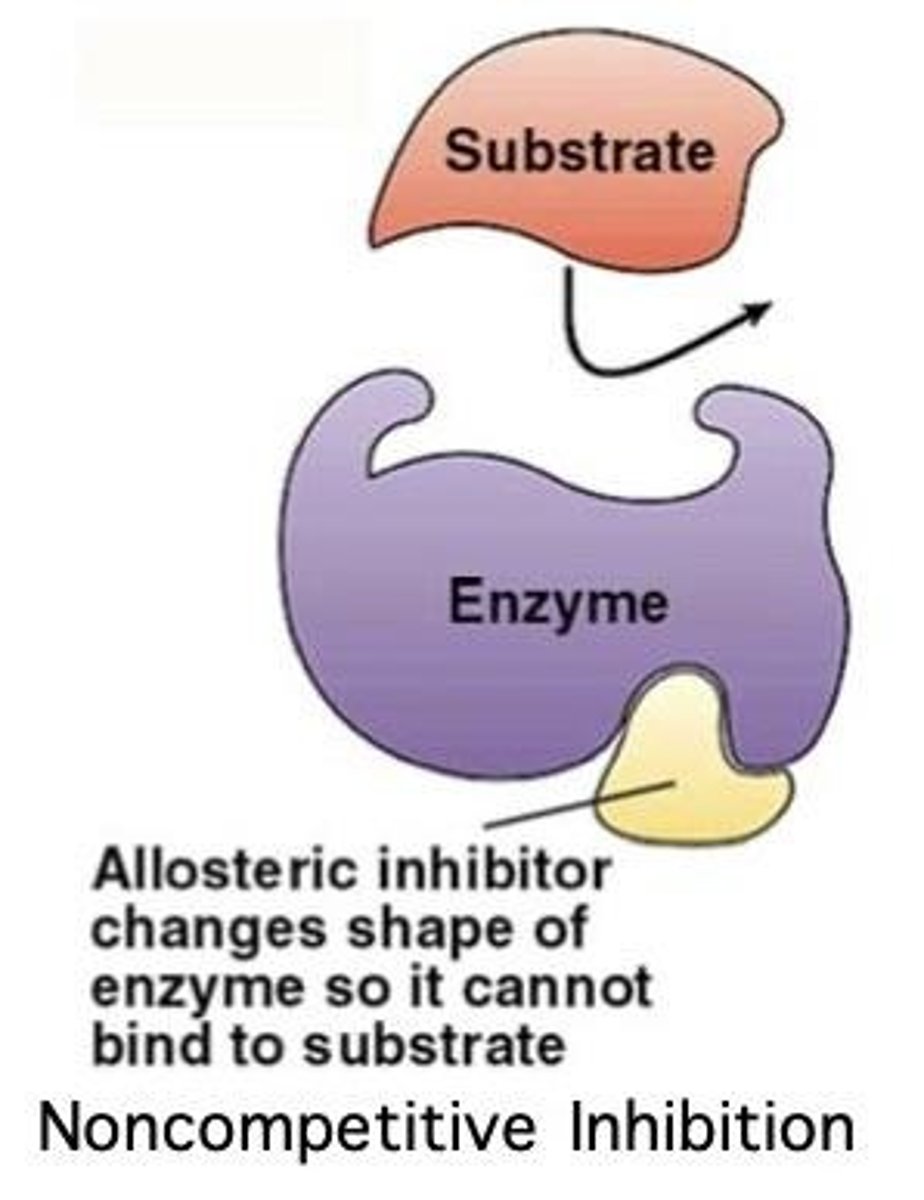 <p>Noncompetitive inhibition occurs when an inhibitor binds to a site other than the active site, changing the enzyme's shape and reducing its effectiveness.</p>