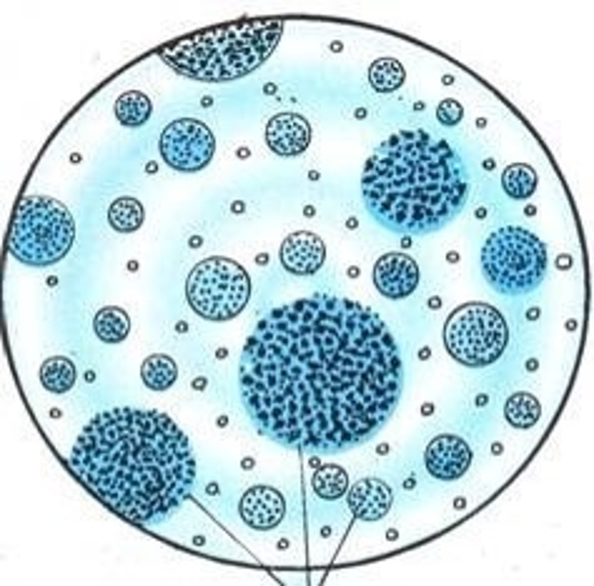 <p>clusters of colloidal molecules surrounded by a shell of water; tend to absorb and incorporate substances from the surrounding environment; possible predecessors of cells</p>
