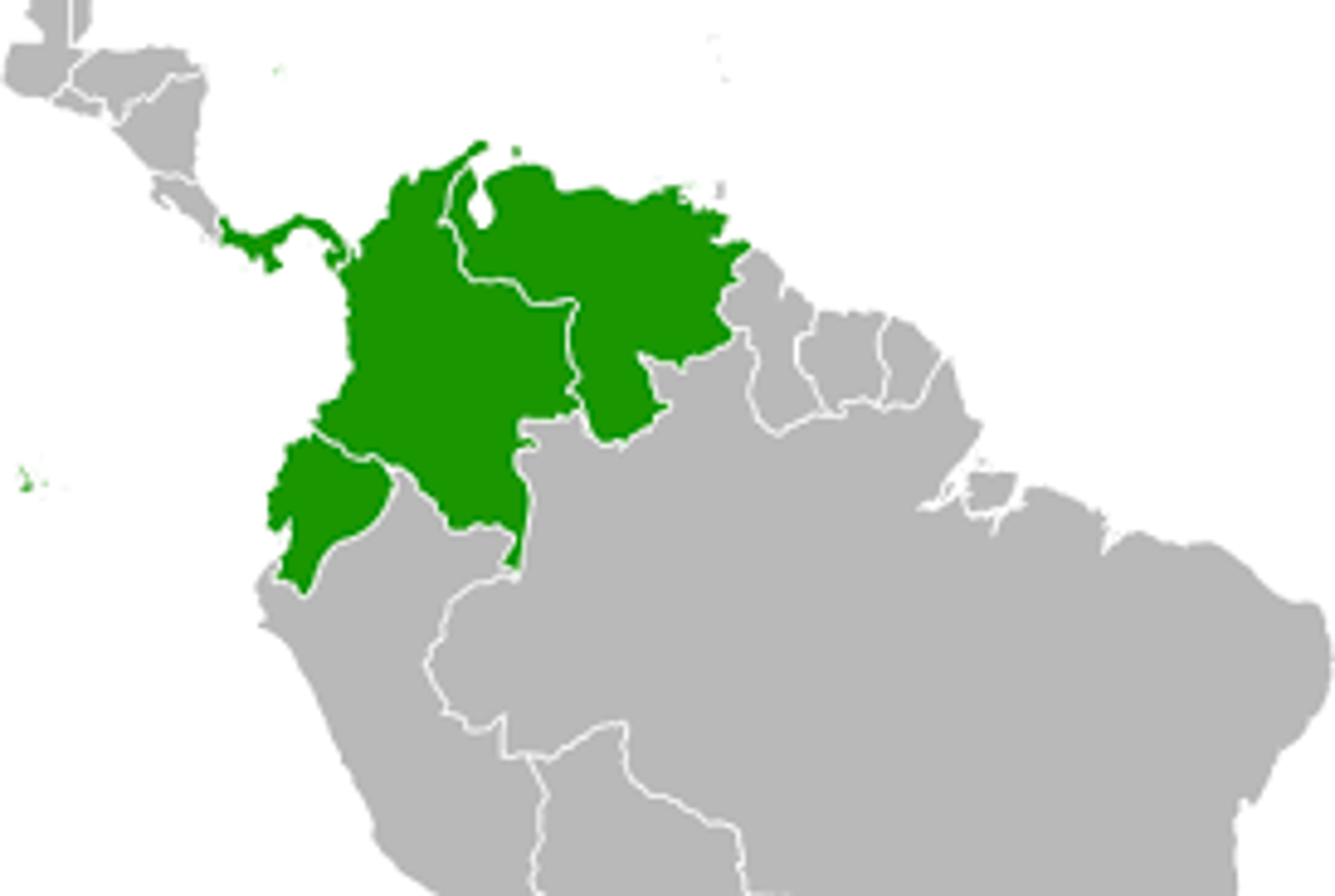 <p>Bolivar's plan to unite Ecuador, Venezuela, Peru, Bolivia and Columbia. They united in 1822 but broke part in 1830 because of geography</p>