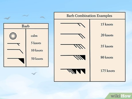 <p>indicate the speed and direction of wind on a weather maps</p><p></p>