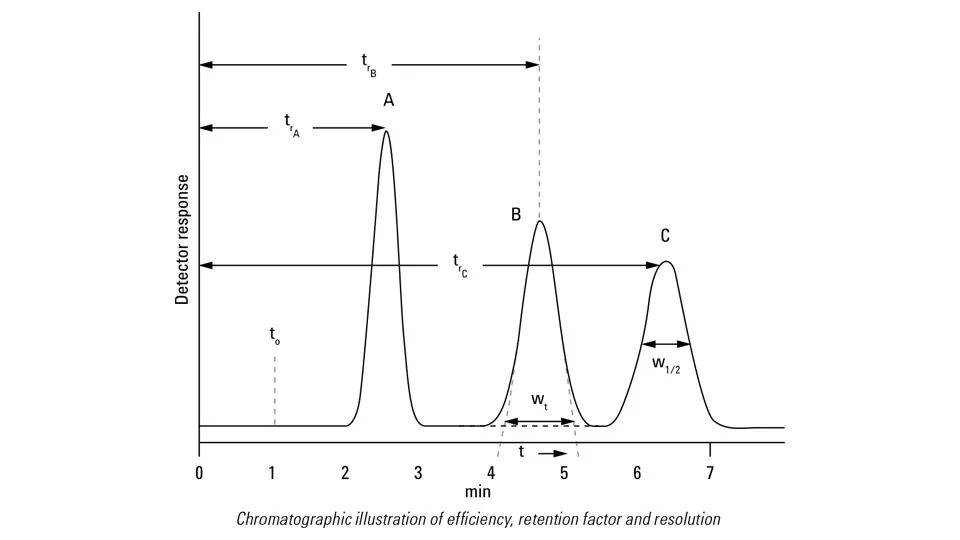 <p>What does each of letters in this graph represents?</p><p></p>