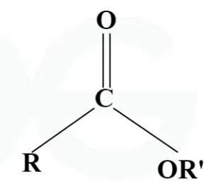 <p>Composed of a carbon double-bonded to an oxygen, a single-bonded to another oxygen, within the carbon chain. Has the suffix, “-oate”.</p>