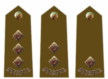 <p>Name these Army Ranks</p>