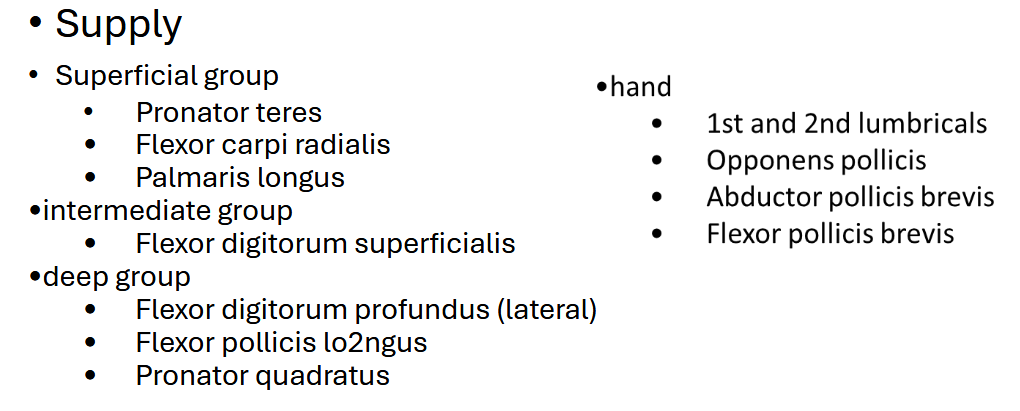 <p>Main: Abductor Pollicis Brevis</p>
