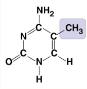 What molecule is this?