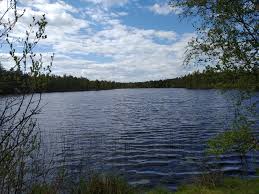 <p><strong>Göl</strong></p>