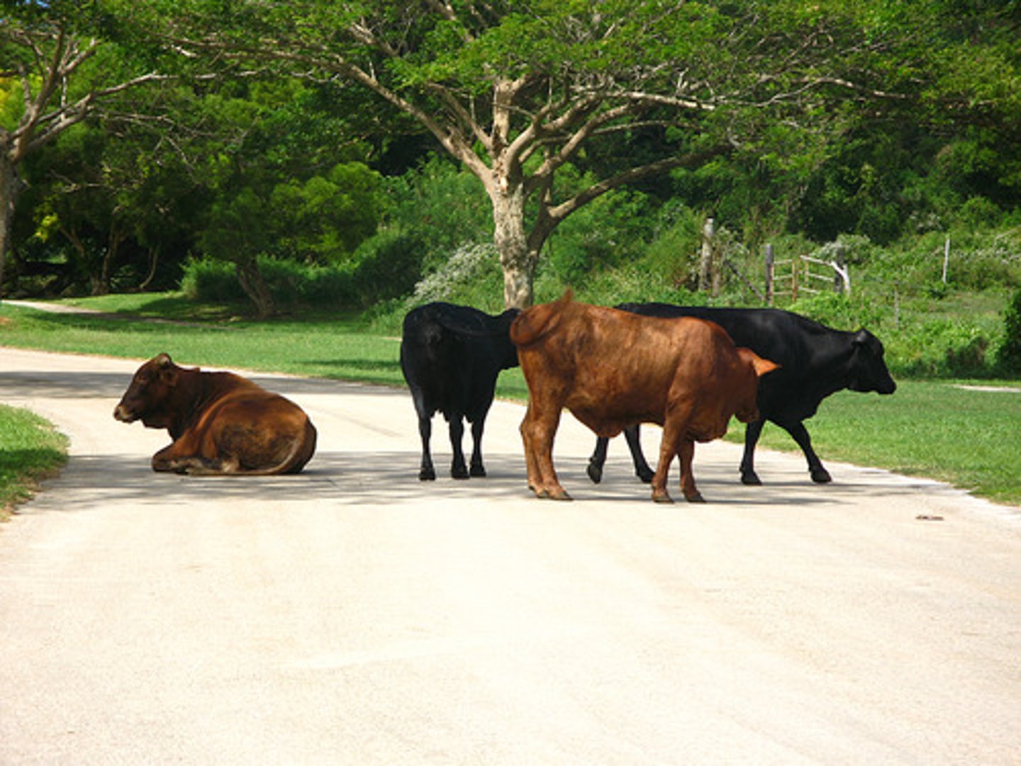 <p>to obstruct, block the way</p>