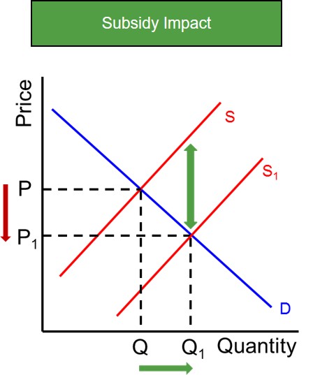 <p>When looking at a subsidies diagram, where would you see producer gain?</p>