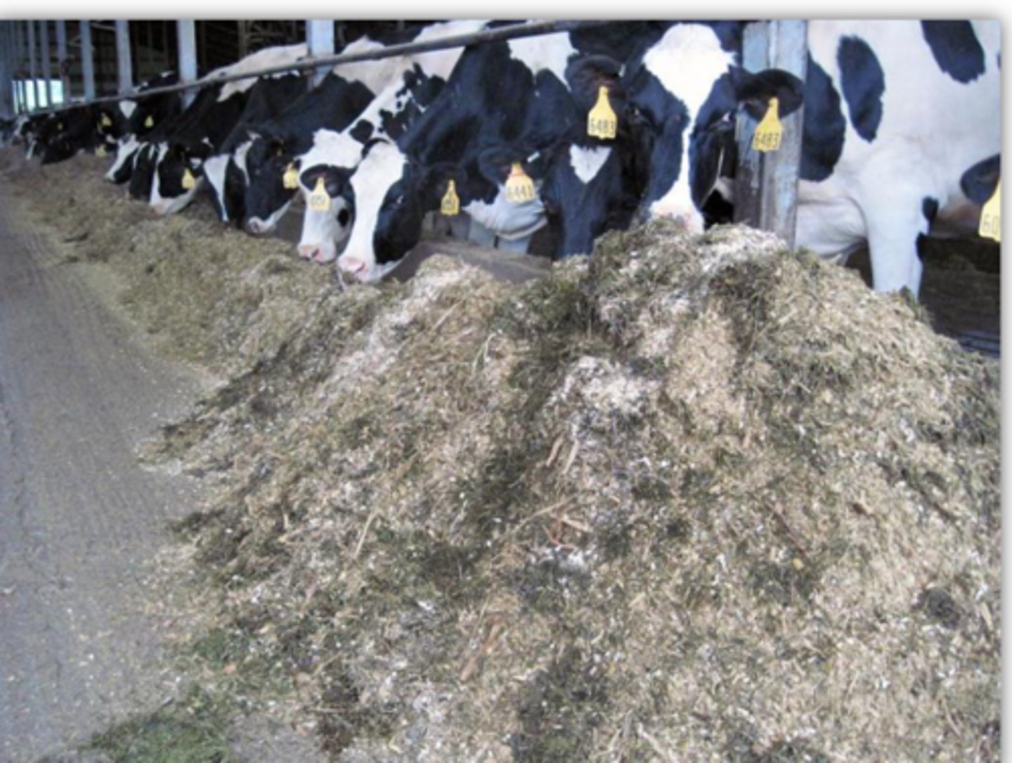 <p>TRUE OR FALSE: This is proper TMR.</p>