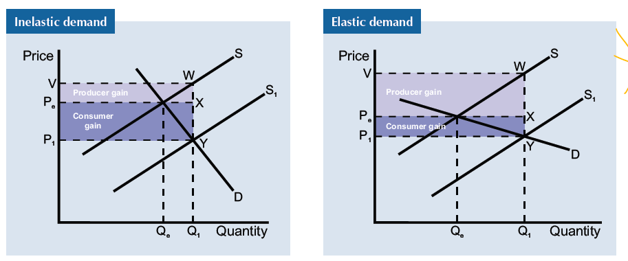 <p>• The more price inelastic the demand curve is, the greater the consumer’s gain is from the subsidy.</p><p>• The more price elastic the demand curve, the greater the producer’s gain is from the subsidy.</p>