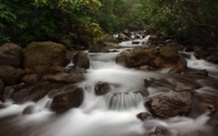 <p>flow</p>