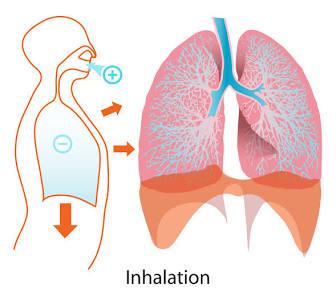 <p>Inhalation</p>