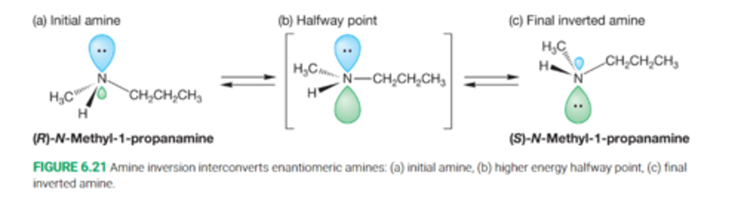 <p>The conversion of one pyramidal form of an amine into the other through a planar, sp2-hybridized transition state</p>