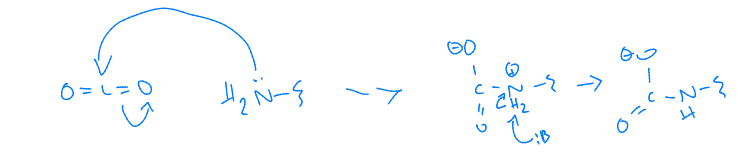 <p>CO2 away from respiring tissues </p><p>CO2 in T state transported out of cell tissues </p>