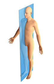 <p>The plane in the following image is the ________________.</p>