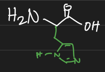<p>Positively charged / electron donor / basic</p><p>His</p><p>H</p>