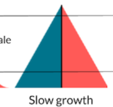 <p>higher proportion of young people as compared to older people, but not as extreme as in rapid growth</p>