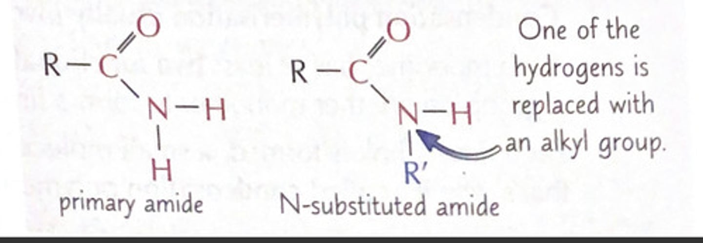 <p>carboxylic acid derivatives</p><p>- functional group -CONH2</p><p>- carbonyl groups pulls electrons away from rest of functional group</p><p>one of the hydrogen is replaced with an alkyl N subsituted amide</p>