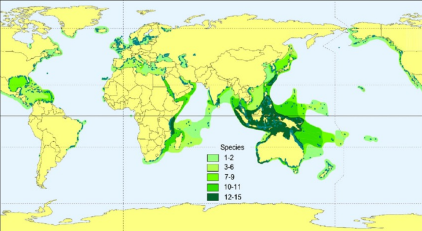<p>Temperate and tropical seas+ freshwater communities </p>