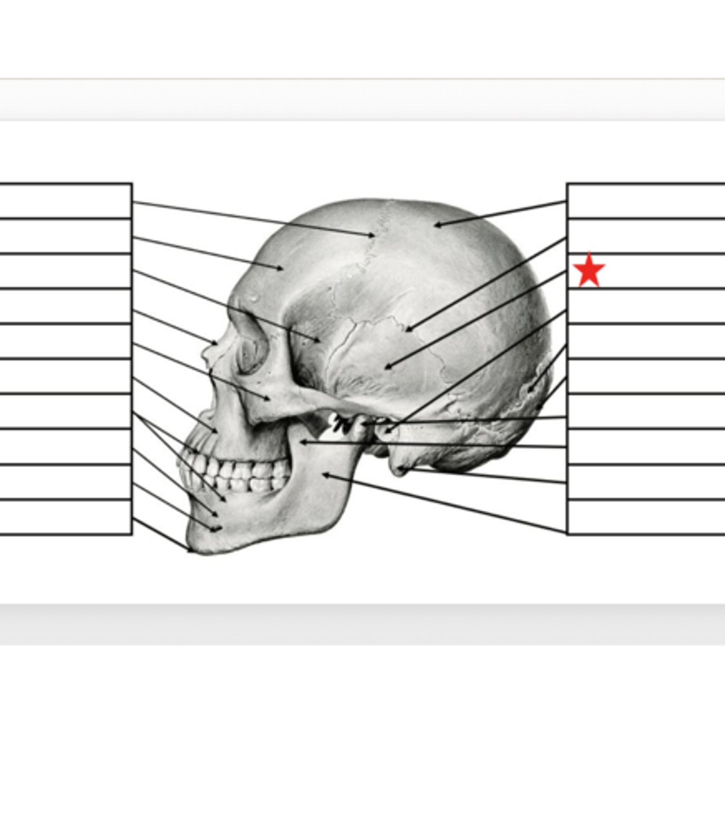 <p>What is this?</p>
