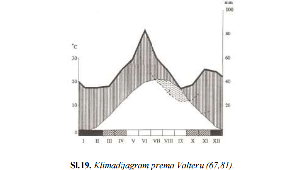 <p><span><em>Uz pomoć </em><strong><em>klimadijagrama </em></strong><em>najbolje se može sagledati klima jednog područja</em><strong><em>. </em></strong><em>Klimadijagramima su predstavljeni najvažniji ekoklimatski faktori, tako što se u koordinatnom sistemu unose podaci o srednjim mjesečnim temperaturama i padavinama u toku godine. Mjeseci koji se smjenjuju u toku godine su obilježeni na apscisi, na lijevoj ordinati - srednje mjesečne vrijednosti temperature, dok se, u isto vrijeme, na desnoj ordinati bilježe srednje mjesečne vrijednosti padavina. U cilju boljeg raspoznavanja sušnog i vlažnog perioda, odnos veličina temperatura i padavina je jedan prema dva. Klimadijagram, po Valteru, je prikazan na Sl.19.</em></span></p>
