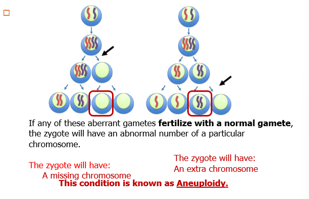 <p>UNDERSTAND THIS</p>